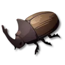 カブトムシ
