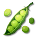 エンドウ豆
